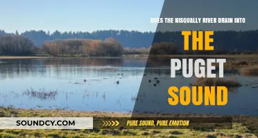 Does the Nisqually River Flow into Puget Sound? Exploring the Connection