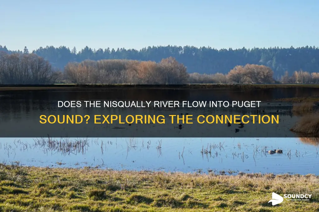 does the nisqually river drain into the puget sound