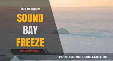 The Norton Sound Bay: Does It Freeze Over?