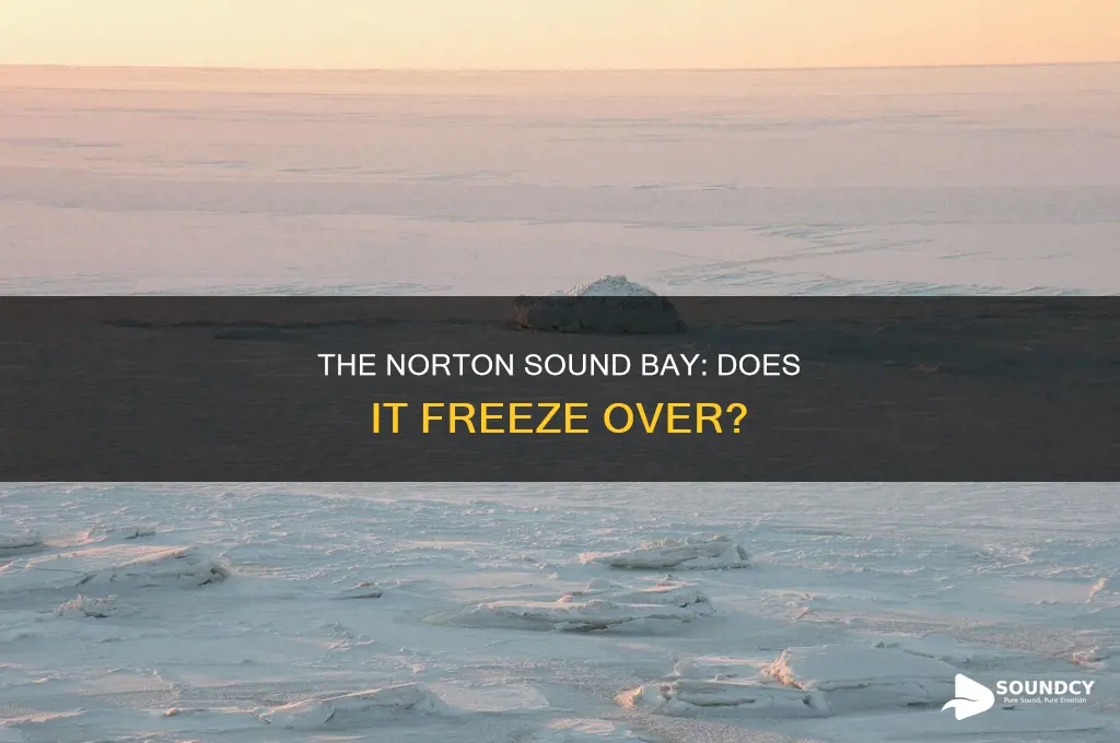 does the norton sound bay freeze