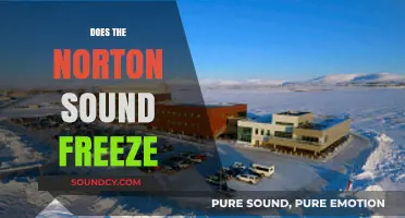 Does the Norton Sound Freeze? Exploring Alaska's Coastal Winter Conditions