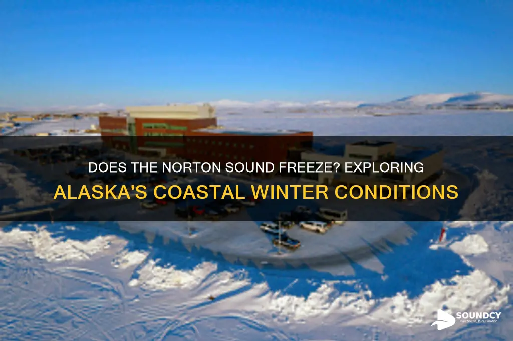 does the norton sound freeze