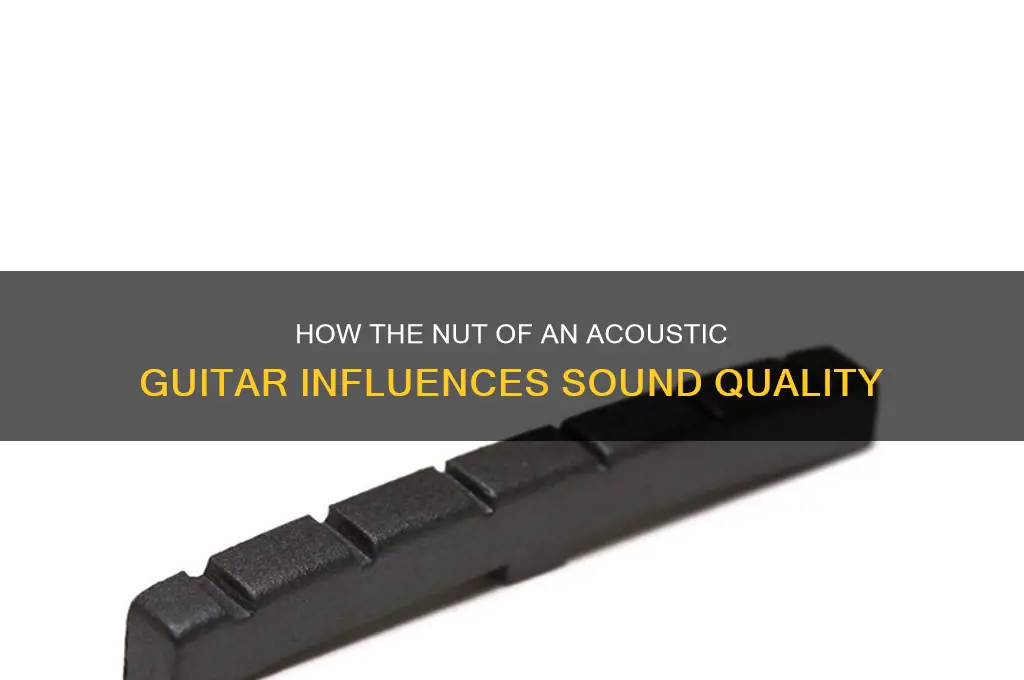does the nut of an acoustic guitar affect sound