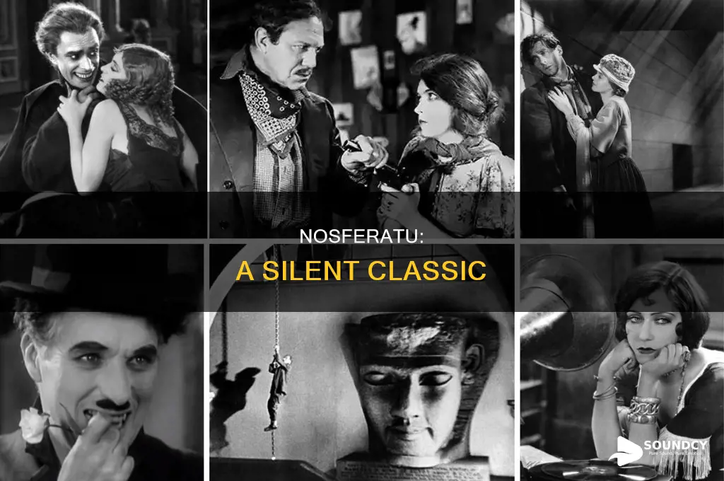 does the original nosferatu have sound