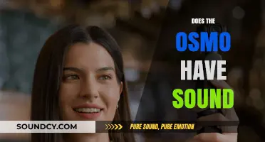 Does the Osmo Have Sound? Exploring Audio Features and Capabilities