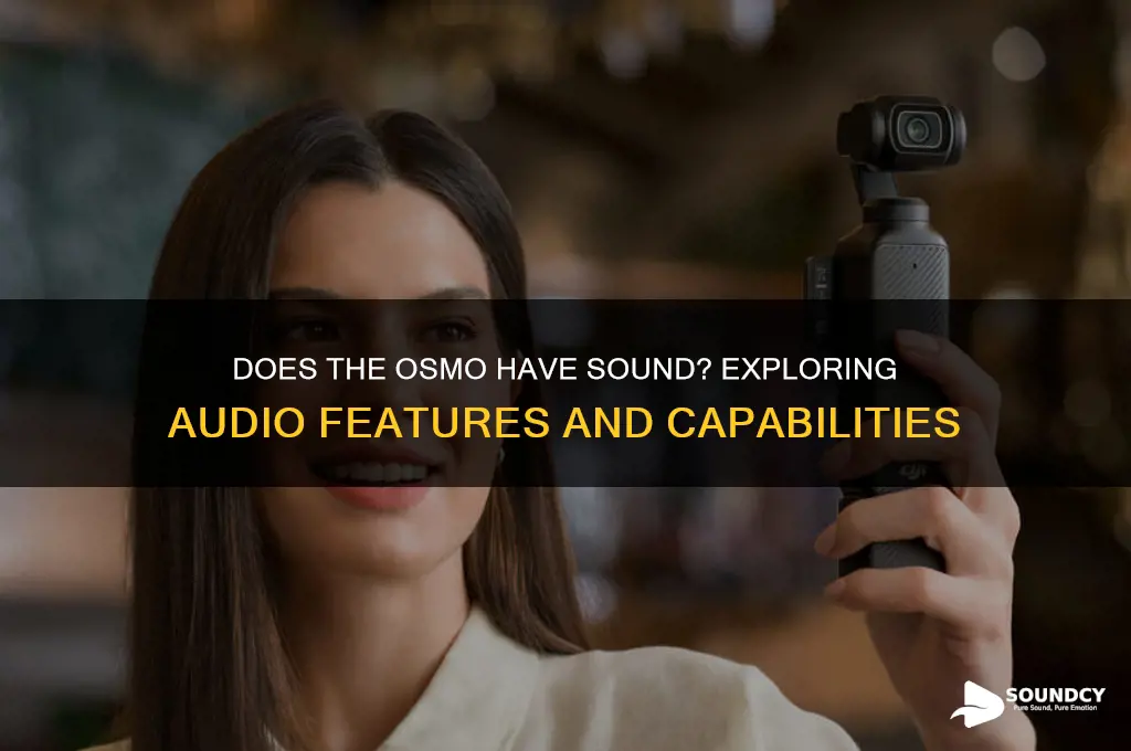 does the osmo have sound