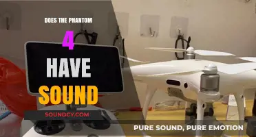 Phantom 4's Audio Capabilities Explored