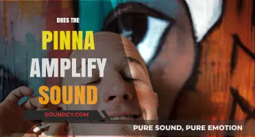 How the Pinna Amplifies Sound: Unveiling the Ear's Natural Design