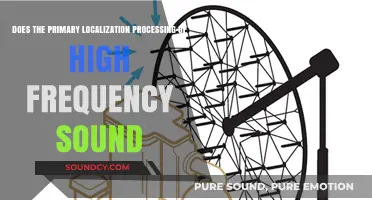 How the Brain Processes High-Frequency Sounds: Primary Localization Explained