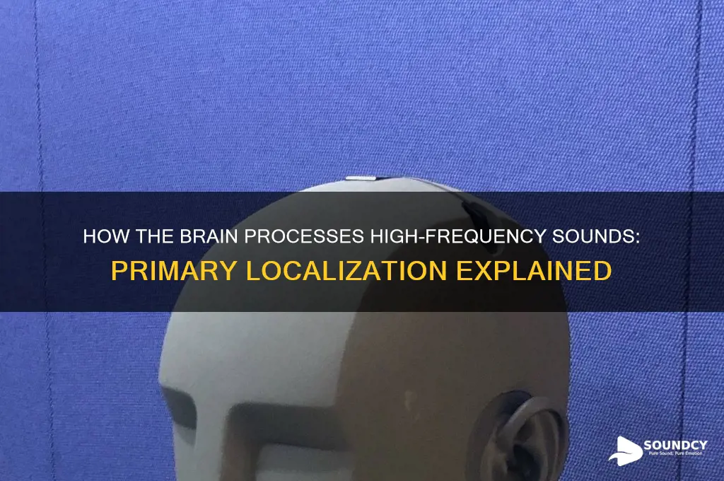 does the primary localization processing of high frequency sound