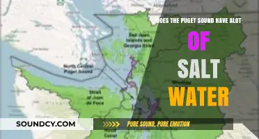 Exploring Puget Sound's Salinity: How Much Salt Water Does It Hold?
