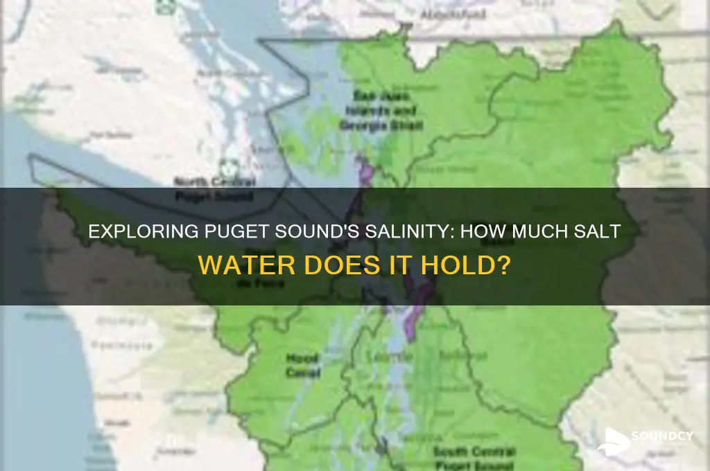 does the puget sound have alot of salt water