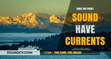 Exploring the Puget Sound: Understanding Its Currents