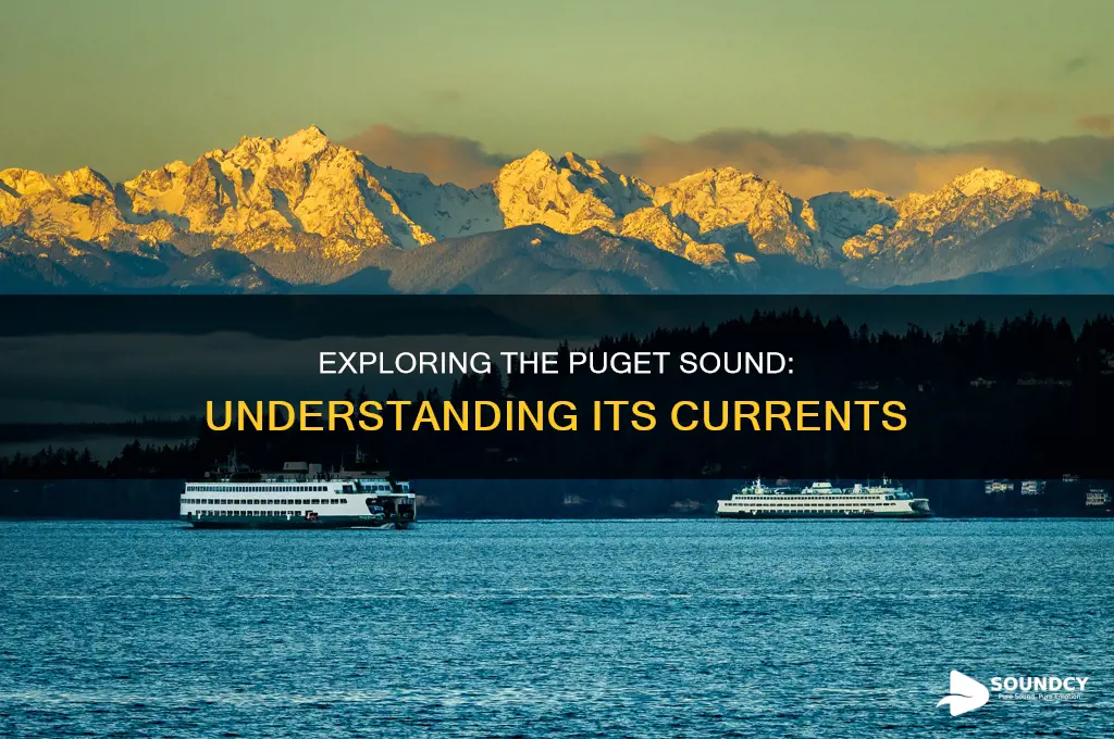does the puget sound have currents