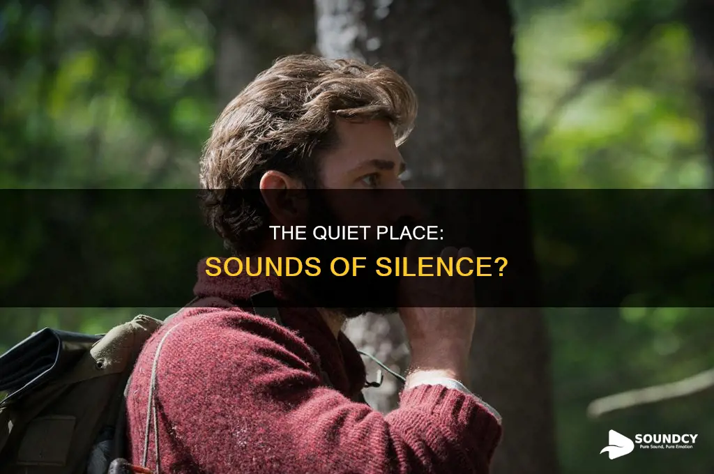 does the quiet place have sound