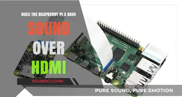Raspberry Pi 3 HDMI Audio: Does It Support Sound Output?