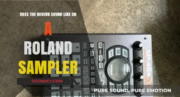 Exploring Roland Sampler's Reverb: Authentic Sound or Digital Imitation?