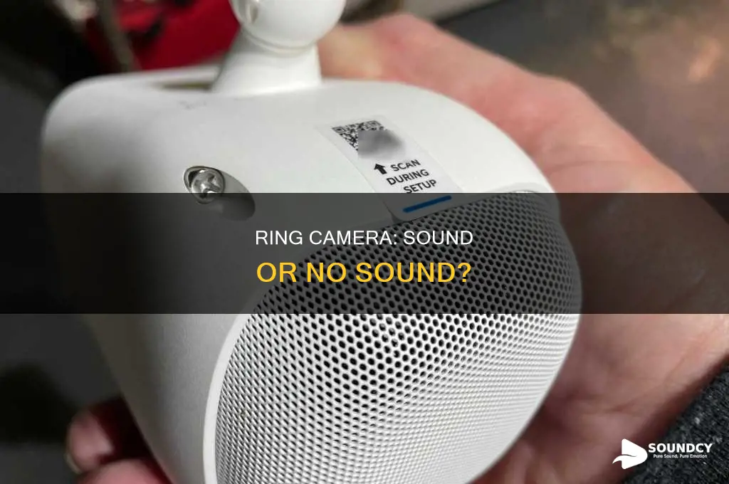 does the ring camera have sound