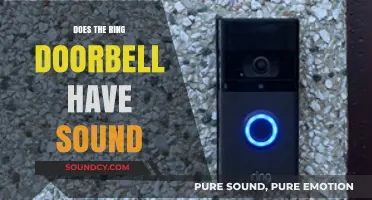 Ring Doorbell: What's the Deal with Sound?