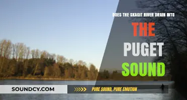 Does the Skagit River Flow into Puget Sound? Exploring the Connection