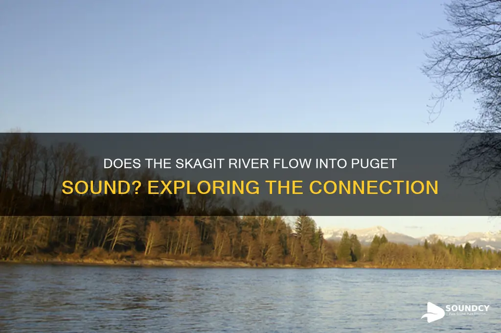 does the skagit river drain into the puget sound