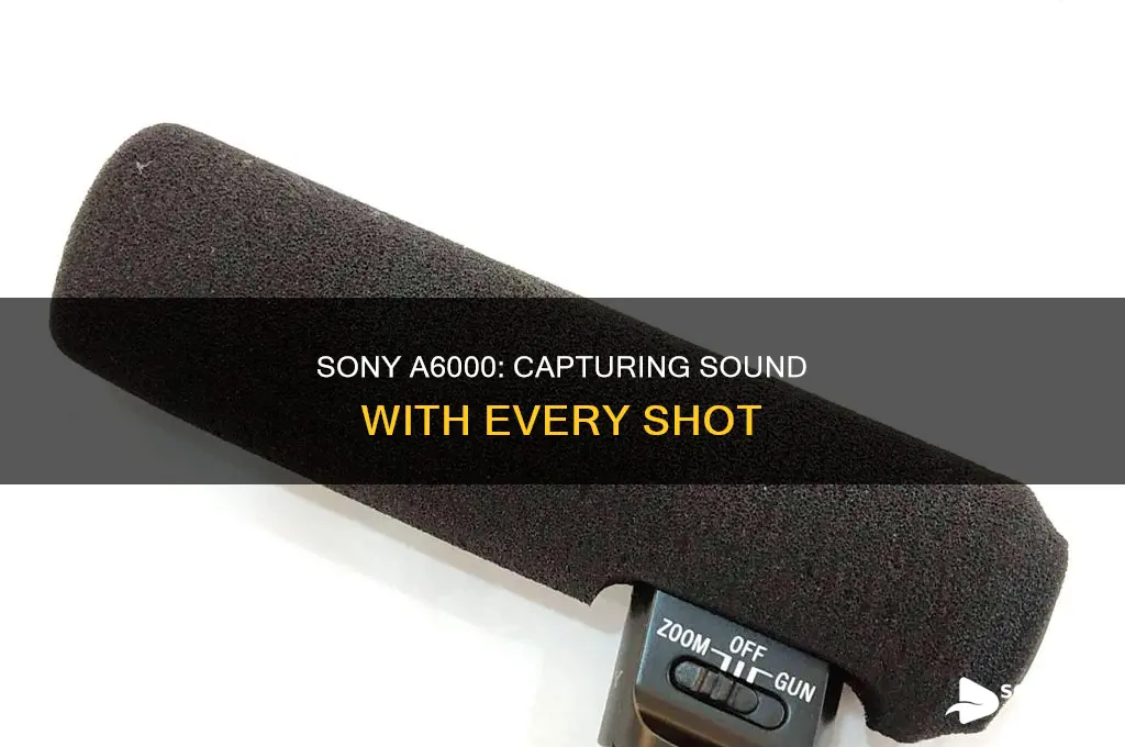 does the sony a6000 capture sound