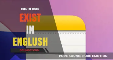 The Sound of Silence: English's Missing Note