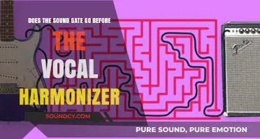 Sound Gate vs. Vocal Harmonizer: Optimal Signal Chain Placement