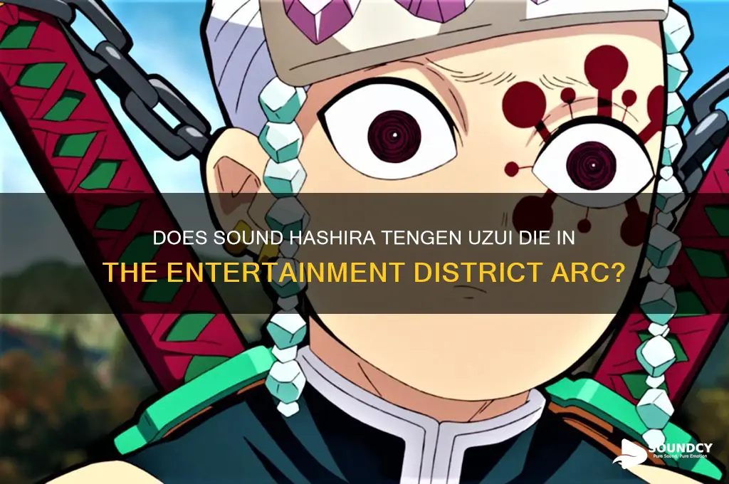 does the sound hashira die in the entertainment district