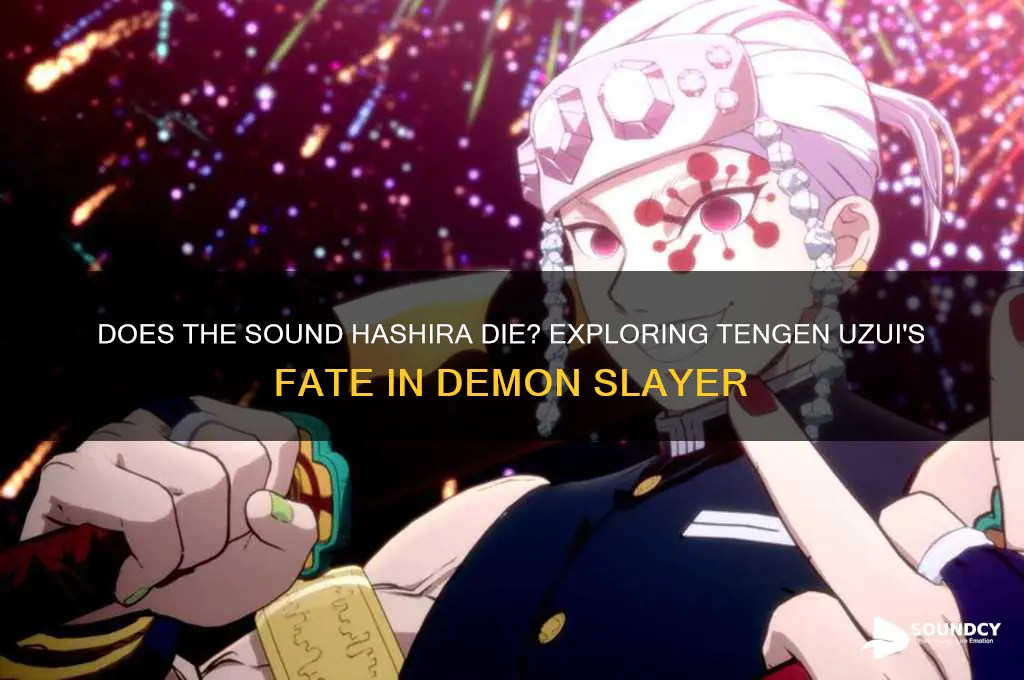 does the sound hashira die