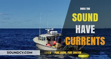 Exploring Sound Waves: Do Currents Exist in Acoustic Phenomena?