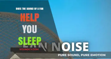 Fan Noise for Sleep: White Noise or Sleep Disruptor?