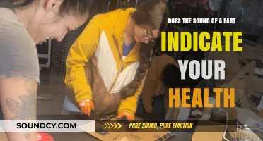 Fart Sounds and Health: Decoding What Your Body's Noises Reveal