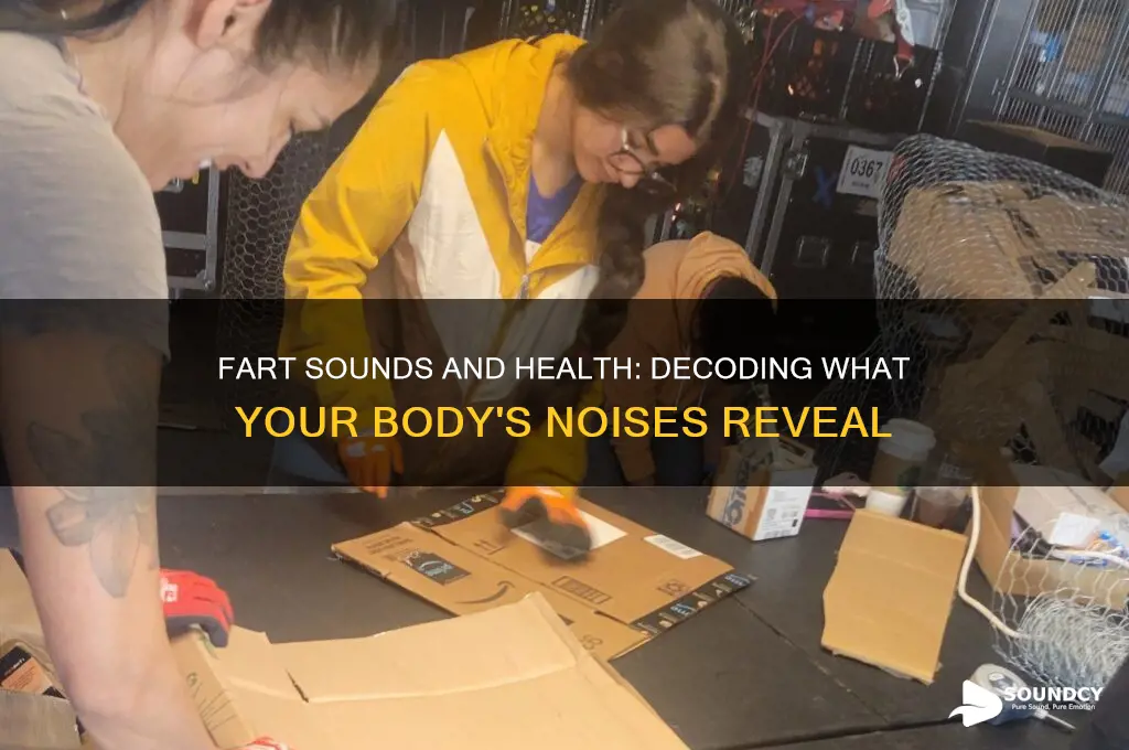 does the sound of a fart indicate your health