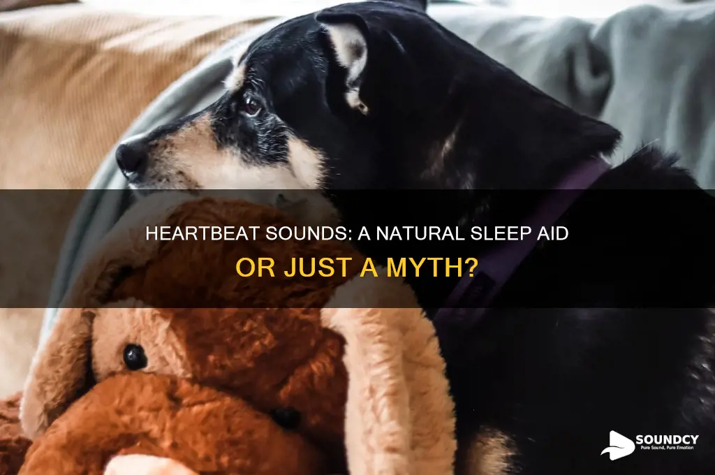 does the sound of a heartbeat make you sleep
