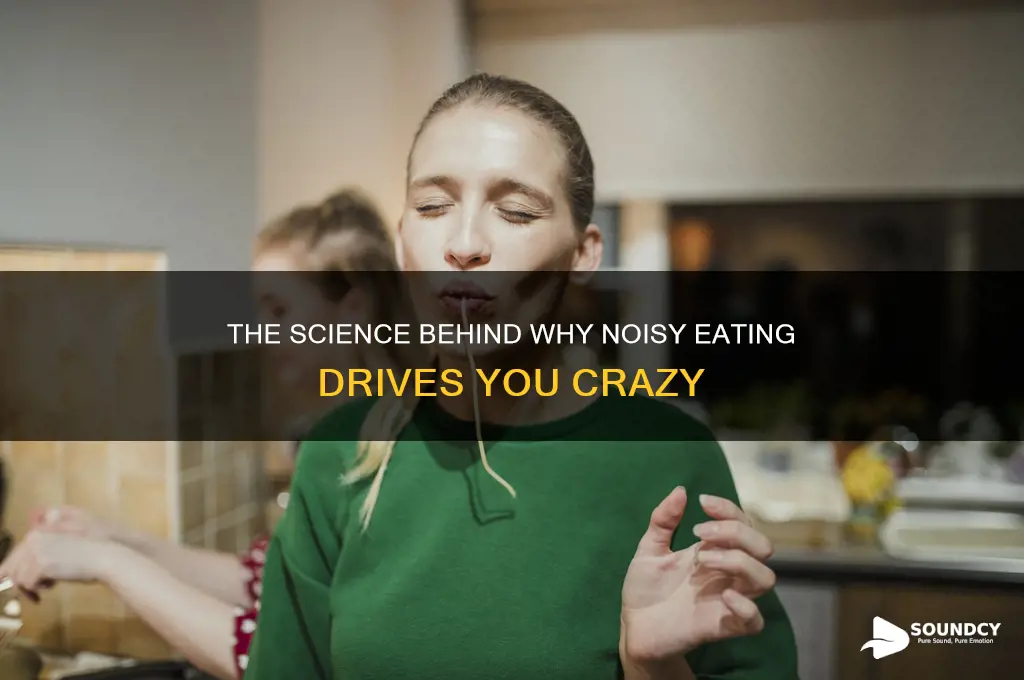 does the sound of noisy eating
