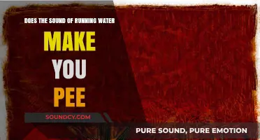 Why Running Water Sounds Trigger Urge to Pee: Explained