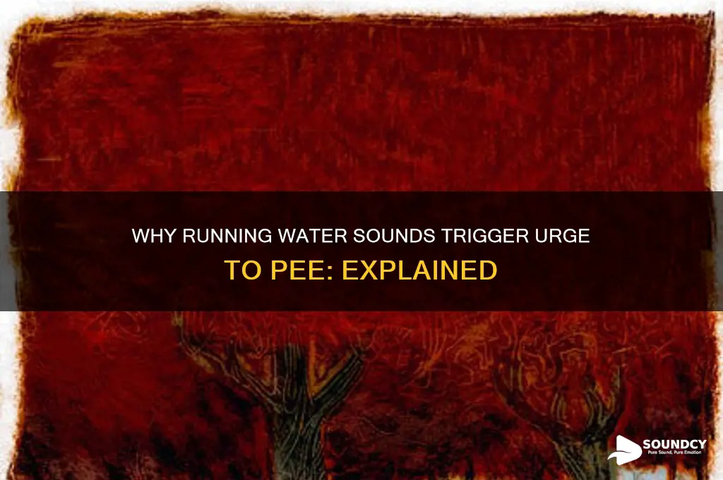 does the sound of running water make you pee