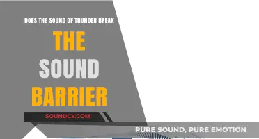 Thunder's Sonic Boom: Does It Really Break the Sound Barrier?