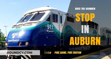 The Sounder: Exploring Auburn's Stop