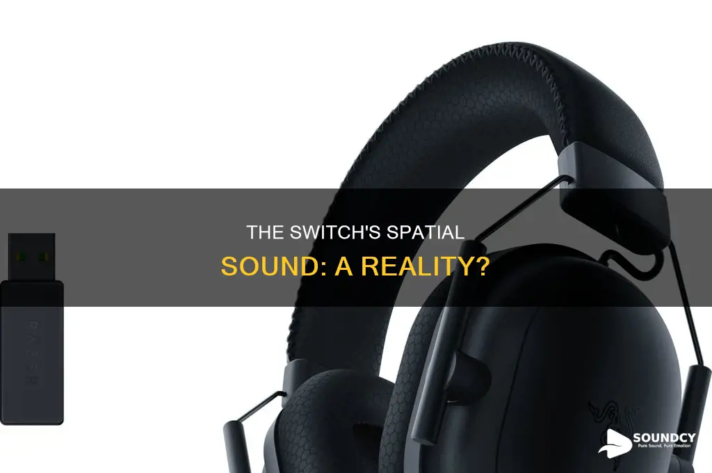 does the switch have spatial sound