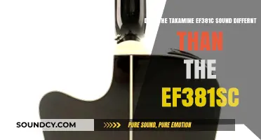 Takamine EF381C vs EF381SC: Uncovering the Sonic Differences