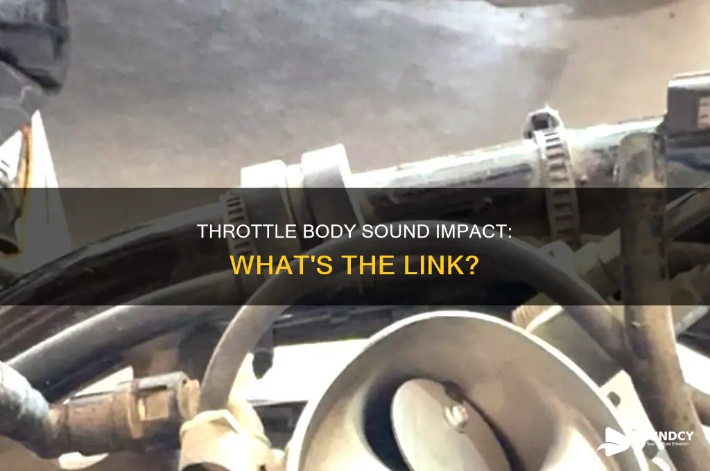 does the throttle body affect sound