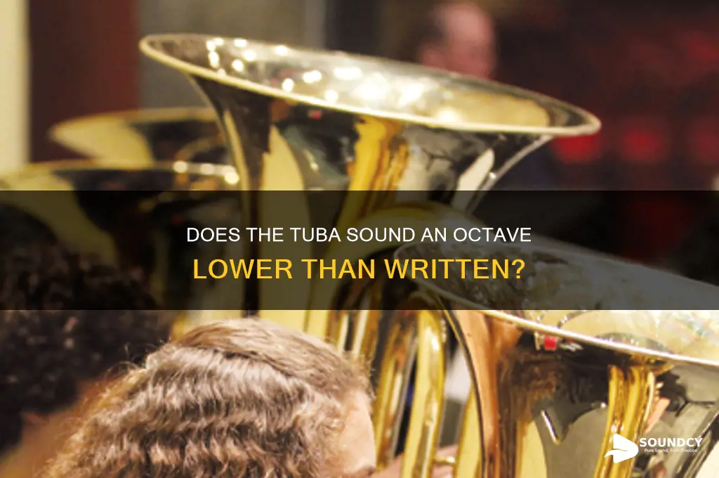 does the tuba sound an octave lower than written
