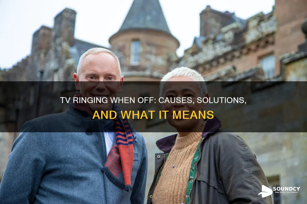 does the tv make a ring sound when off