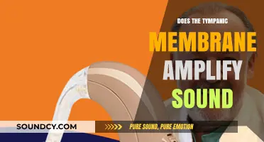 How Tympanic Membrane Amplifies Sound