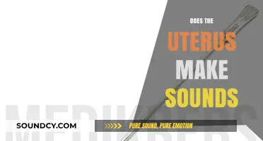 Does Your Uterus Make Sounds? Unraveling the Mystery of Womb Noises