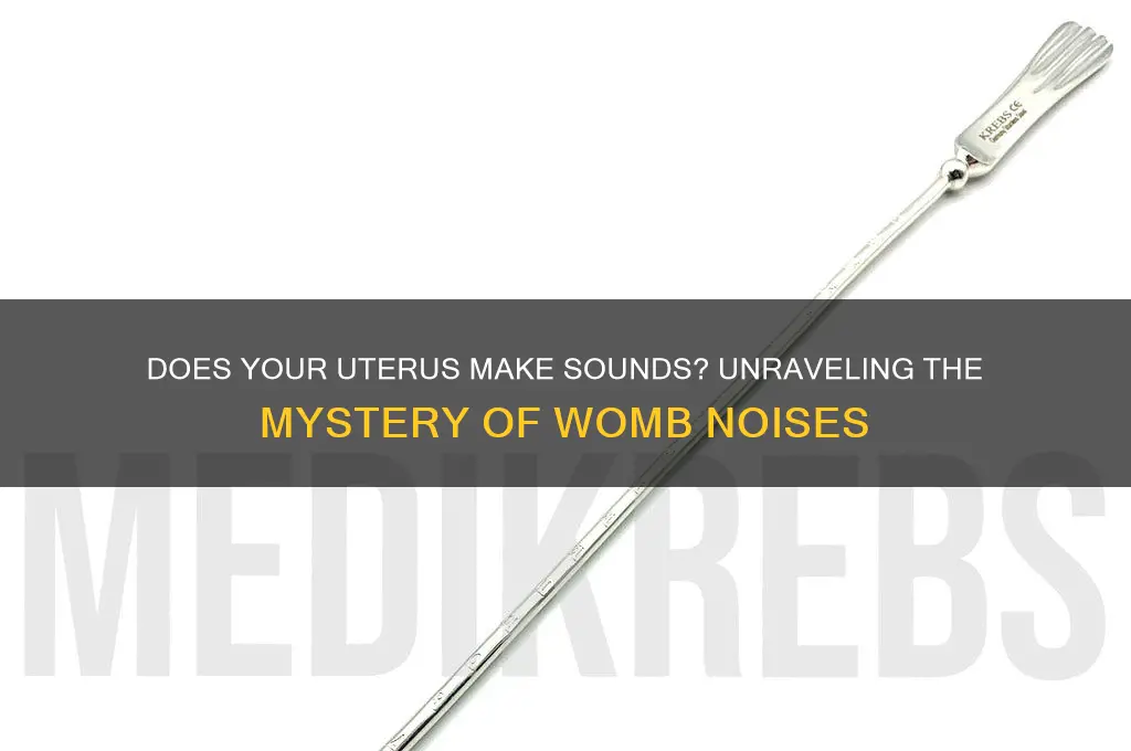 does the uterus make sounds