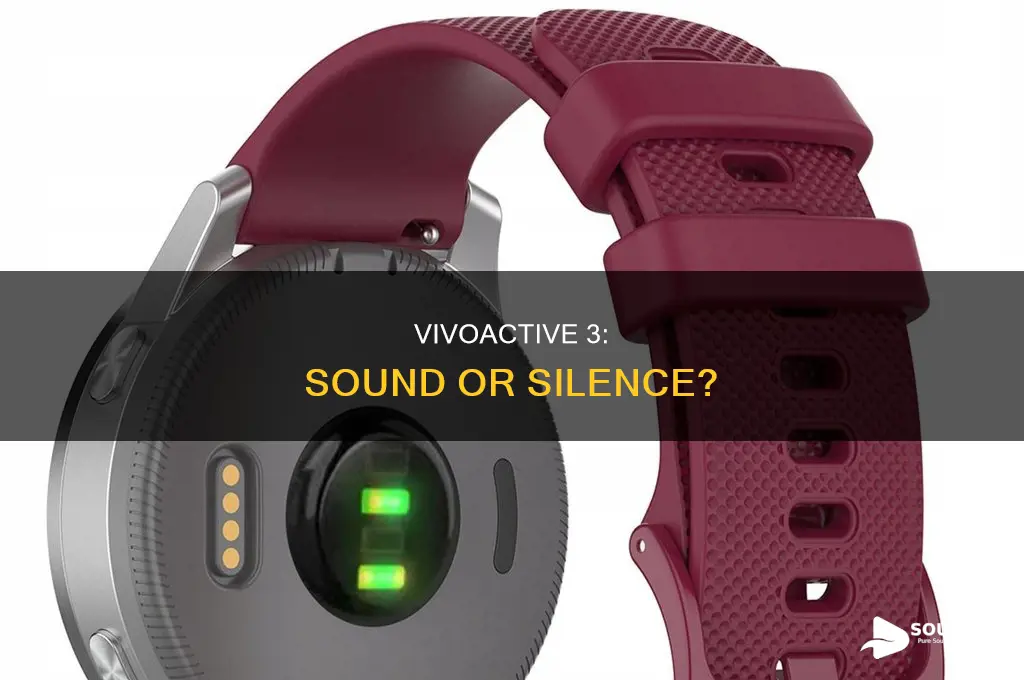 does the vivoactive 3 have sound