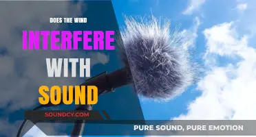 How Wind Affects Sound and Audio Quality